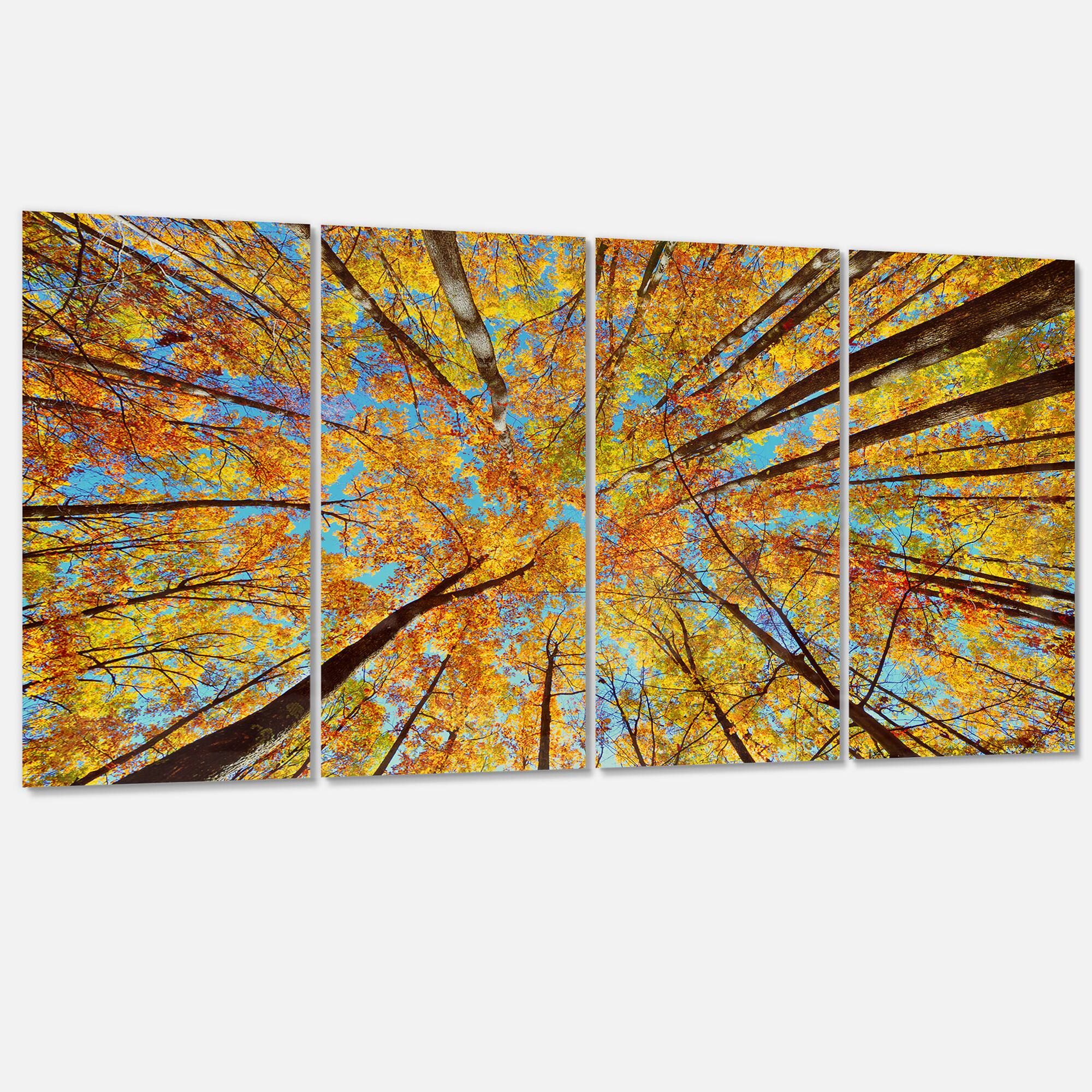 Designart - Tree Tops in Autumn Forest